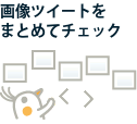 画像ツイートをまとめてチェック